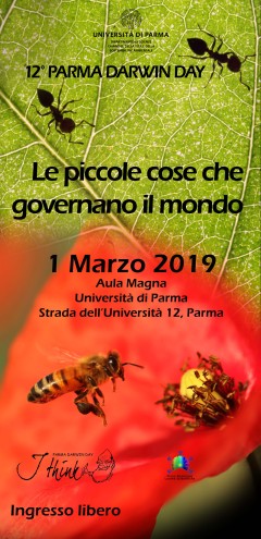 Parma DD 19 - brochure copertina